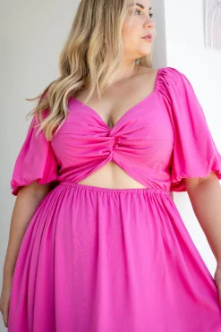Proud Poppy Clothing Tina Dress in Pink Fashion